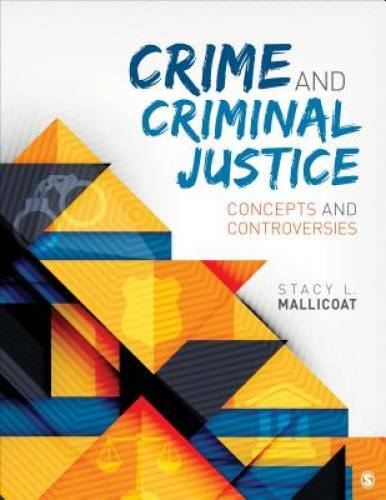 Crime and Criminal Justice: Concepts and Controversies – Paperback – GOOD