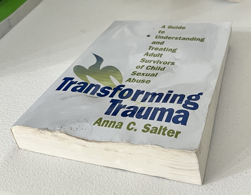 Transforming Trauma : A Guide to Understanding and Treating Adult Survivors ... gallery