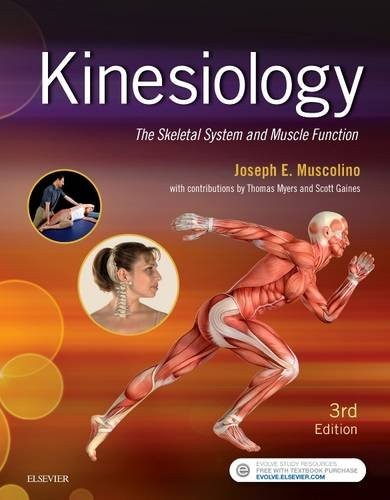 KINESIOLOGY: THE SKELETAL SYSTEM AND MUSCLE FUNCTION, 3E By Muscolino Joseph E.