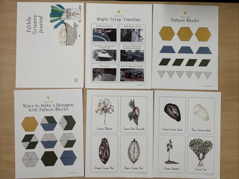 How Wee Learn Homeschool Curriculum Printables Kindergarten Science Animals Set gallery