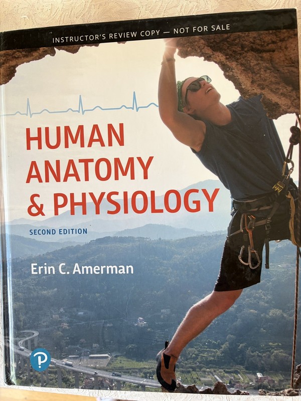 Human Anatomy & Physiology – Teacher edition Hardcover, by Amerman NEW FREE-SHIP