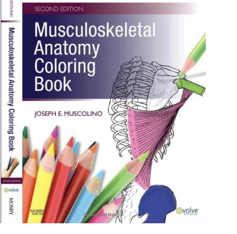 Musculoskeletal Anatomy Coloring Book by Joseph E. Muscolino (2009, Trade…