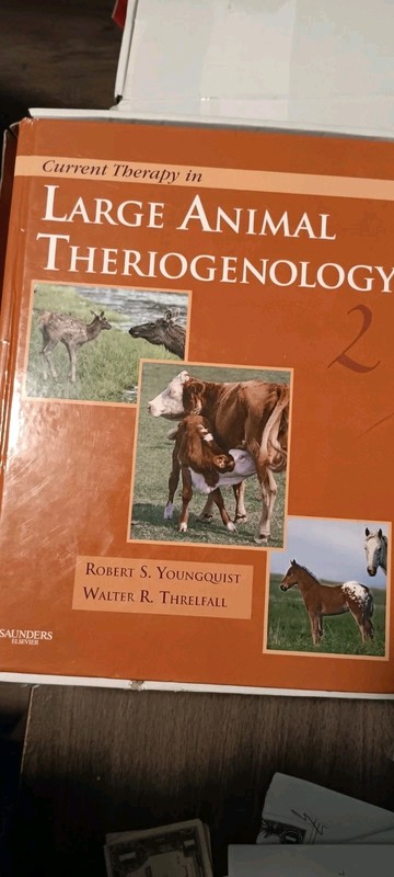 Current Veterinary Therapy Ser.: Current Therapy in Large Animal Theriogenology