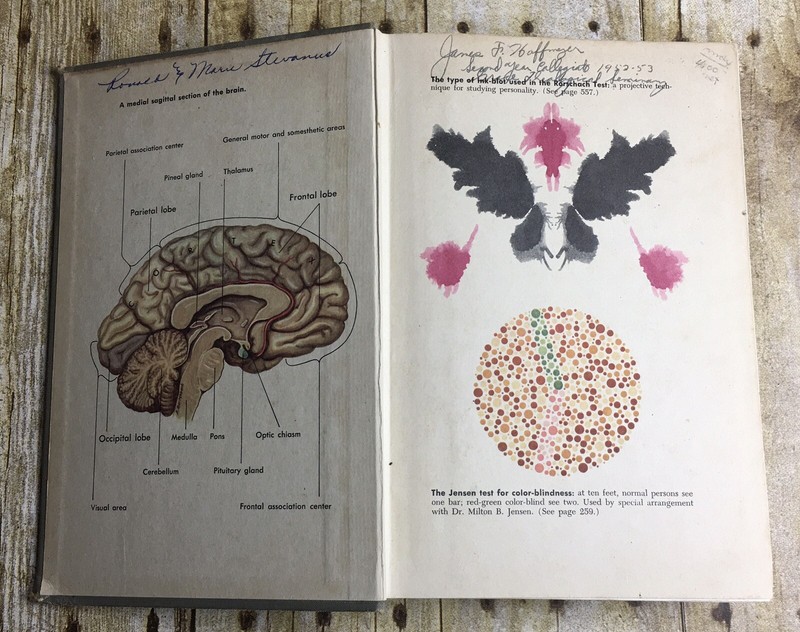 PSYCHOLOGY and LIFE 3rd Ed. Floyd Ruch HB Text Book 1948 Illustrated 782 pages. gallery