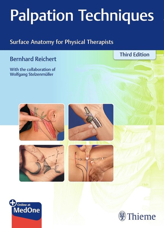 Palpation Techniques: Surface Anatomy for Physical Therapists 3rd Edition by Ber