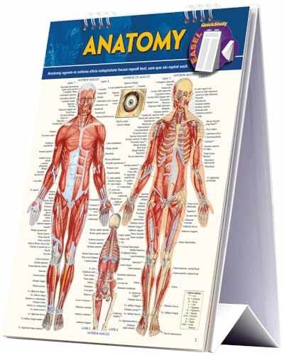 Anatomy Easel Book: a QuickStudy – Spiral-bound, by Vincent Perez – Very Good