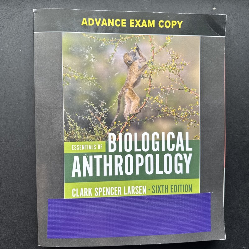 Essentials of Biological Anthropology by Clark Spencer Larsen (2025, Trade...