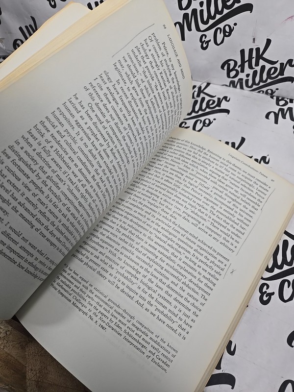 Language and Mind - Noam Chomsky - Enlarged Edition - PB gallery