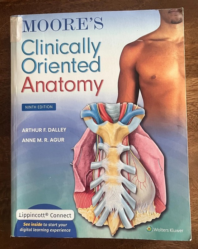 Moore's Clinically Oriented Anatomy, Ninth Edition Fast Shipping Free Shipping.. gallery