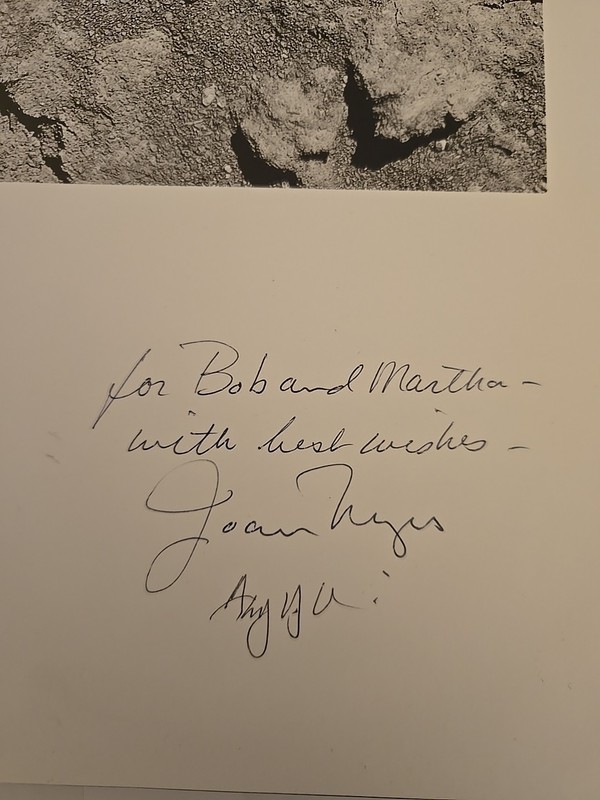Signed Whispered Silences: Japanese Americans andWorld War II by Gary Y. Okihiro gallery