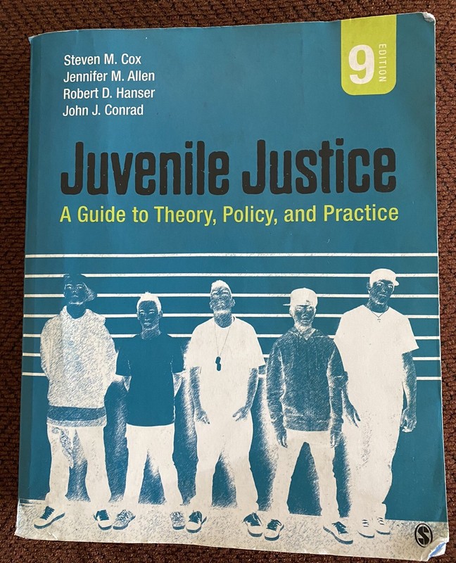Juvenile Justice: A Guide to Theory, Policy, and Practice
