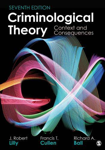 Criminological Theory: Context and Consequences – Paperback – GOOD