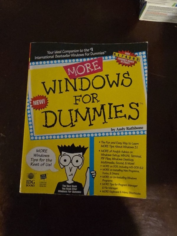 More Windows for Dummies by Andy Rathbone Computer Guide Tips Windows 3.1