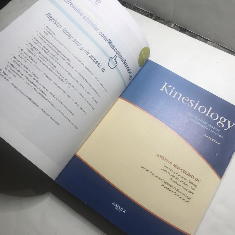 Kinesiology Book By Joseph E Muscolino Paperback 4401 gallery