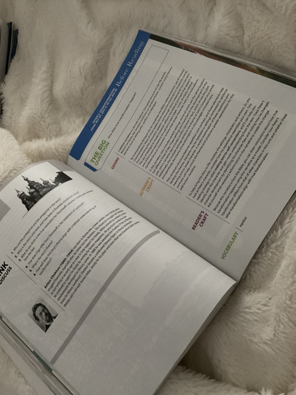 BJU Press Literature Textbook Illustrated English Book by Bju Staff gallery