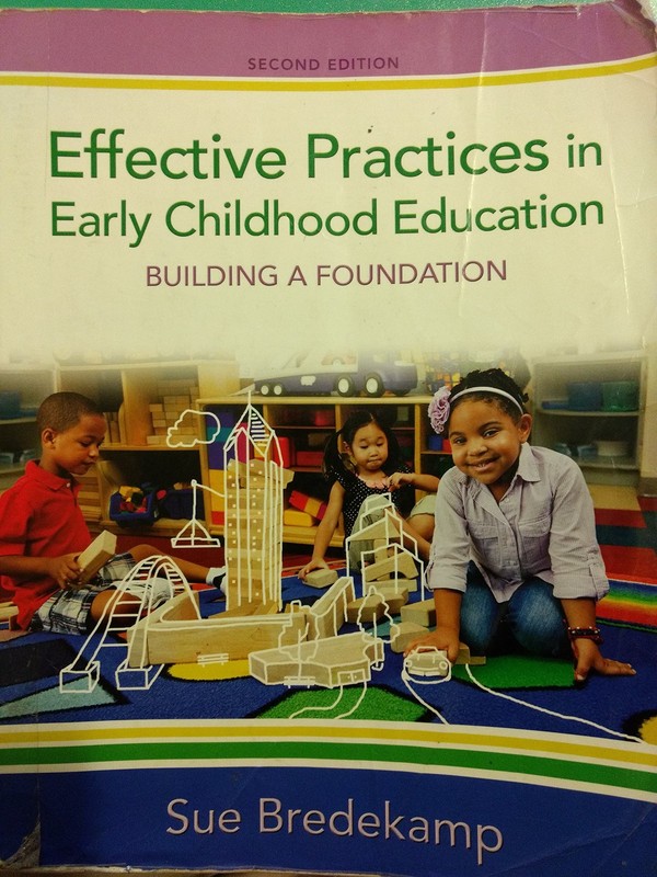 Effective Practices in Early Childhood Education: Building a F…