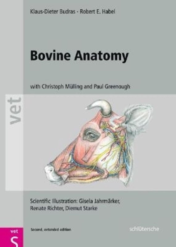 Bovine Anatomy: An Illustrated Text, Second Edition by Robert E. Habel (English)