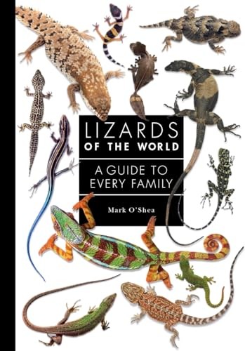 Lizards of the World: A Guide to Every…, O’Shea, Mark