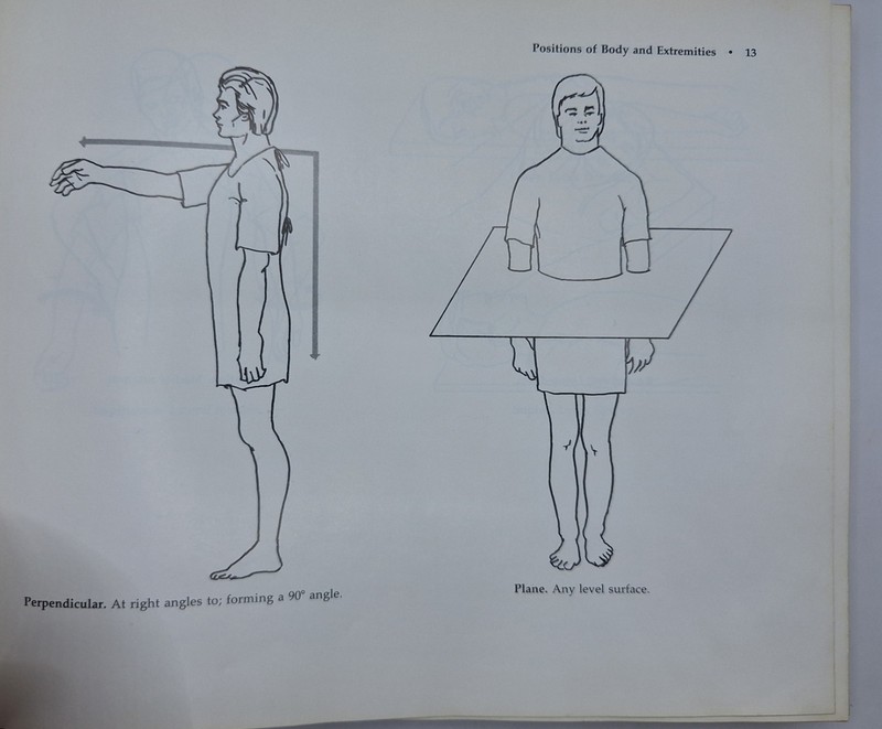 A Manual of Radiographic Positioning by George B. Greenfield 1973 J.B Lippincott gallery