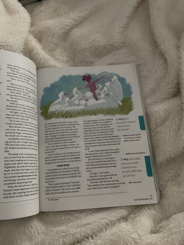BJU Press Literature Textbook Illustrated English Book by Bju Staff gallery