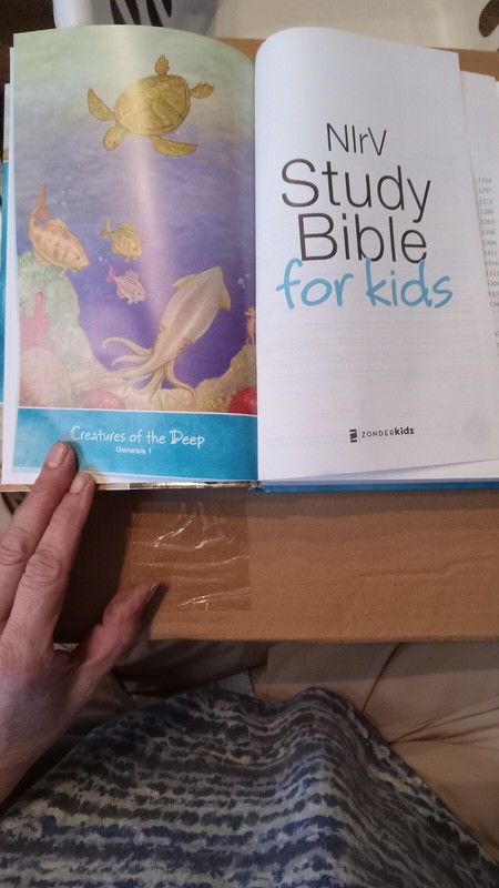 NIrV, Study Bible for Kids, Hardcover by Zonderkidz (English) Hardcover Book