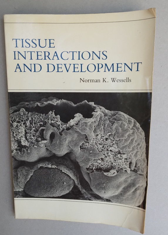 Tissue Interactions and Development–1977-Norman K. Wessells-276 pages-paperback