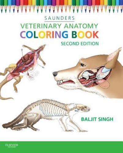 Veterinary Anatomy Flash Cards, Paperback by Saunders (COR), Like New Used, F…
