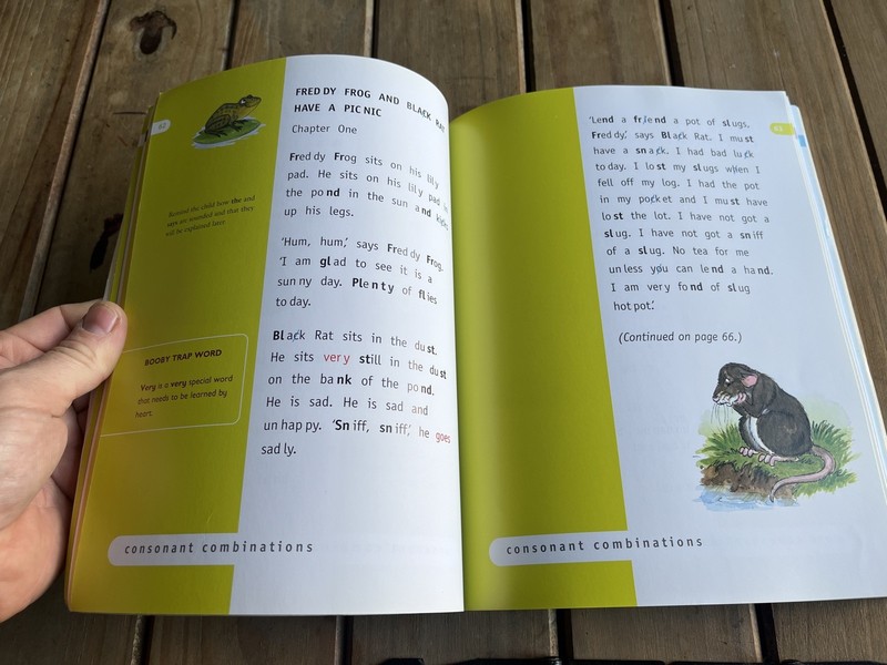 Phonics : The Easy Way by Annis Garfield (2007, Uk-Trade Paper) gallery