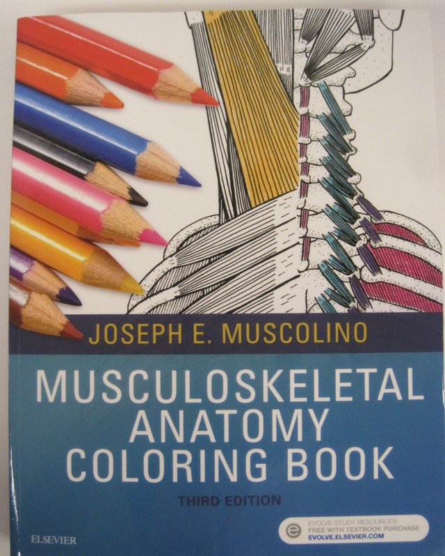 Musculoskeletal Anatomy Coloring… by Joseph Muscolino DC, (SC OVSZ)