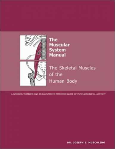 The Muscular System Manual: The – Hardcover, by Muscolino DC Joseph – Very Good