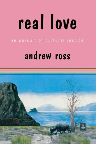 Andrew Ross Real Love (Paperback)