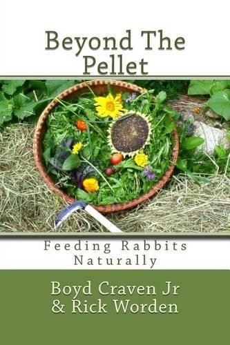 Boyd Craven Jr Rick Worden Beyond The Pellet (Paperback) (UK IMPORT)
