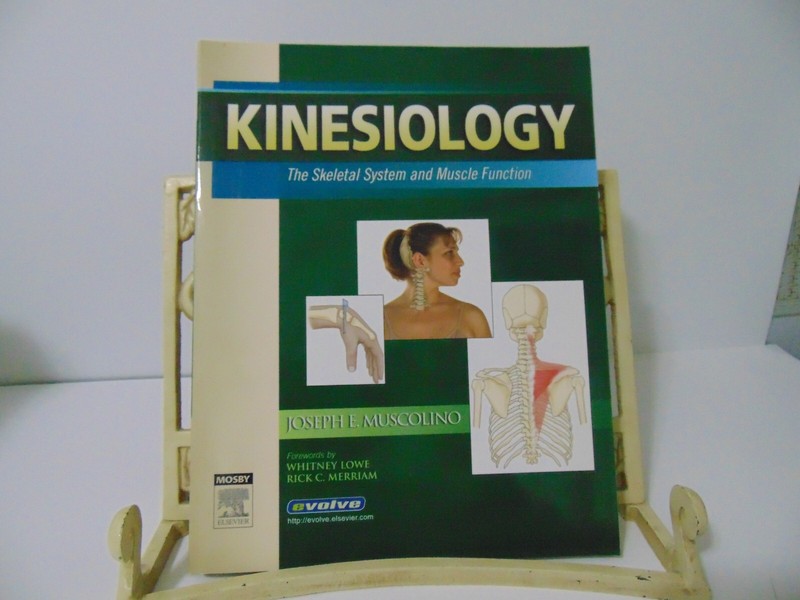 Kinesiology The Skeletal System & Muscle Function – by Joseph E Muscolino