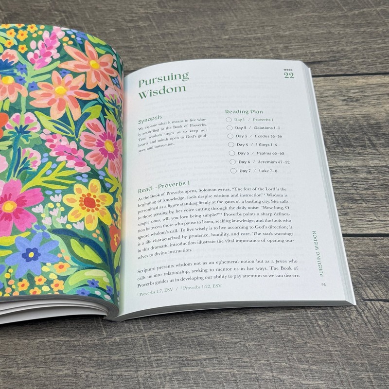 A Beautiful Year in the Bible Alabaster Creative Inc. 2024 52-Week Bible Study gallery