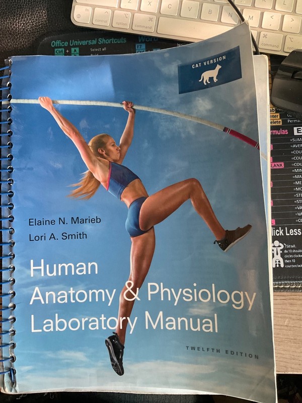 Marieb and Hoehn Human Anatomy and Physiology Lab Manuals Ser.: Human Anatomy…