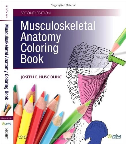Musculoskeletal Anatomy Coloring Book, 2e by Muscolino DC, Joseph E. Paperback