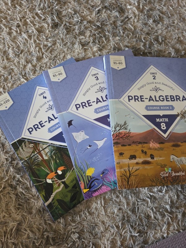 Simply Good And Beautiful Math 8 Course Books Units 2,3,4 (3 books)