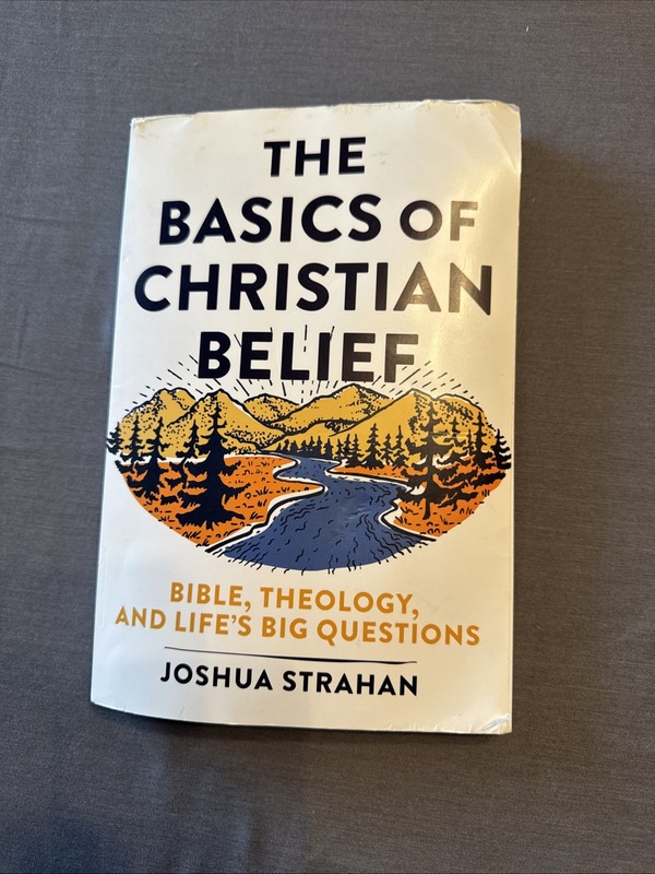Basics of Christian Belief : Bible, Theology, and Life’s Big Questions by Joshua