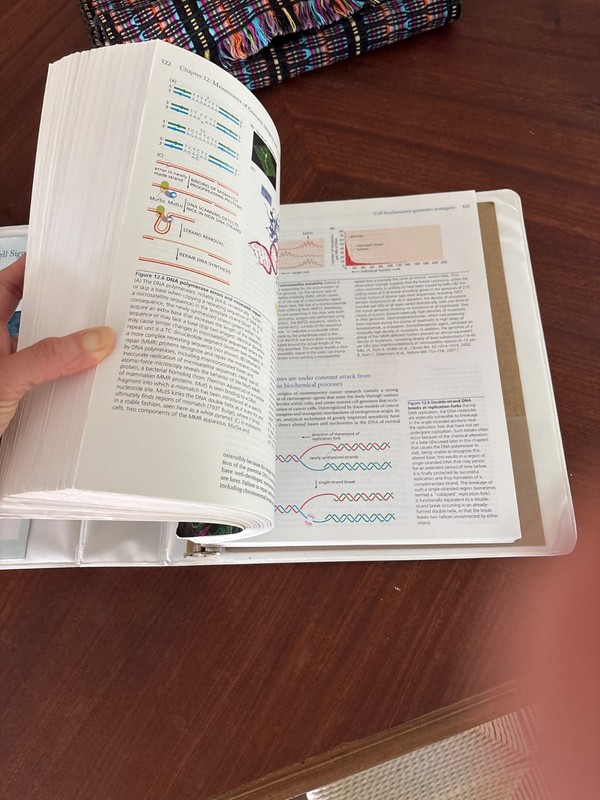 Biology of Cancer by Robert A. Weinberg (2013, Uk-B Format Paperback) gallery