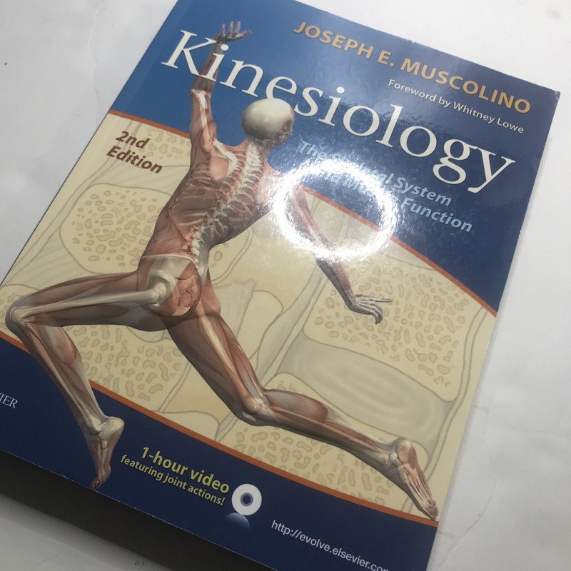 Kinesiology Book By Joseph E Muscolino Paperback 4401 gallery