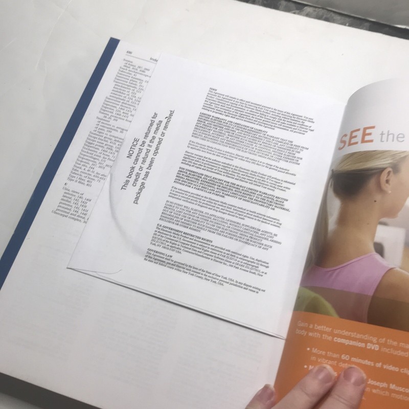 Kinesiology Book By Joseph E Muscolino Paperback 4401 gallery
