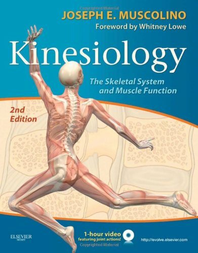 Kinesiology by Joseph E Muscolino