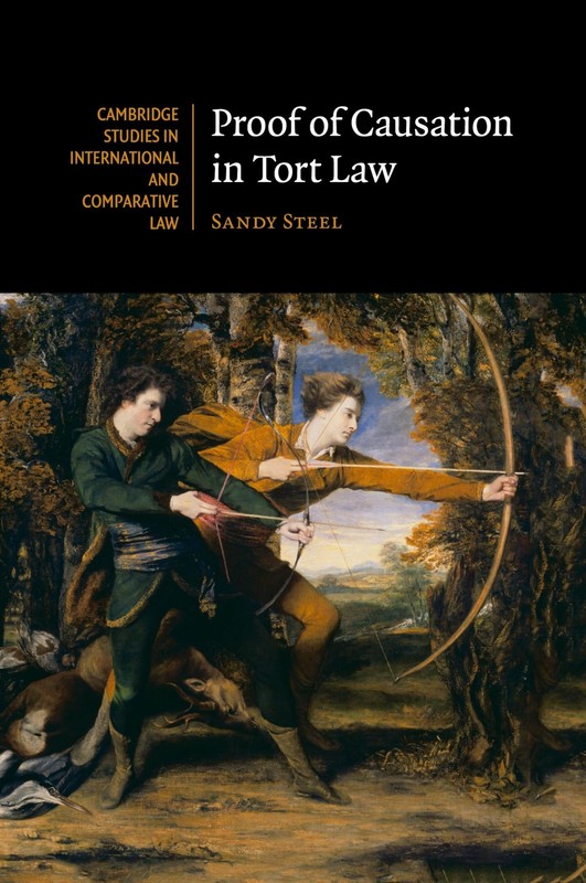 Proof of Causation in Tort Law (Cambridge Studies in International and Comparati