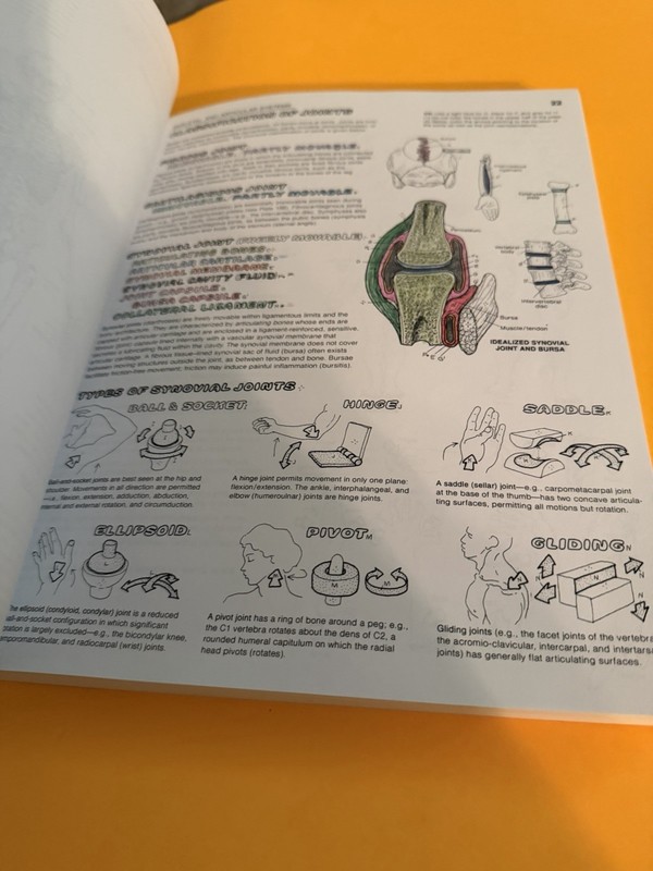 The Anatomy Coloring Book by Lawrence M. Elson Please Read Description gallery