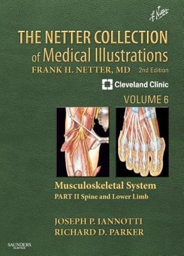 The Netter Collection of Medical Illustrations: Musculoskeletal System, Volume 6