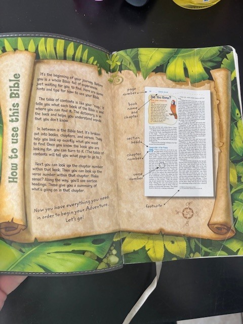 NIV, Adventure Bible, Leathersoft, P- imitation leathe, Zonderkids gallery