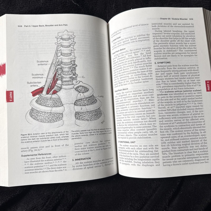 Travel & Simon’s Myofascial Pain and Dysfunction Trigger Point Manual Vol I gallery