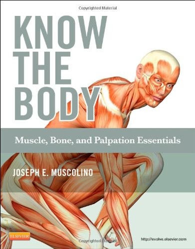 KNOW THE BODY: MUSCLE, BONE, AND PALPATION ESSENTIALS, 1E By Muscolino Joseph E.