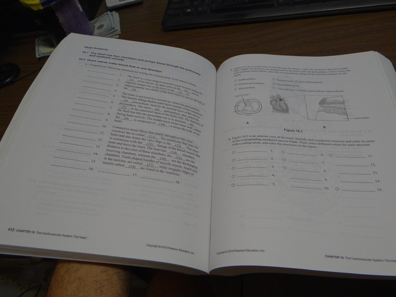 Study Guide for Human Anatomy & Physiology, Marieb, Hoehn, 11th ed. gallery