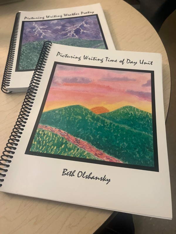 Picturing Writing Lot Of 2 PB Books By Beth Olshansky Art Based Literacy RARE